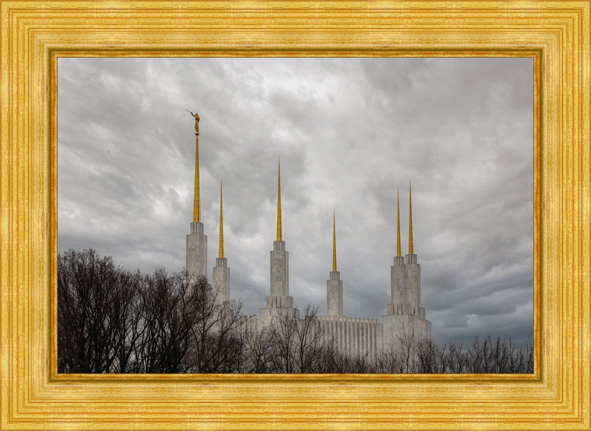 Washington DC Through Life's Storms