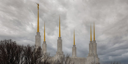 Washington DC Through Life's Storms Gallery Wrap