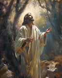 Jesus Prays in the Garden of Gethsemane Gallery Wrap