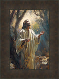 Jesus Prays in the Garden of Gethsemane