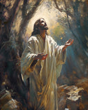 Jesus Prays in the Garden of Gethsemane Large Wall Art