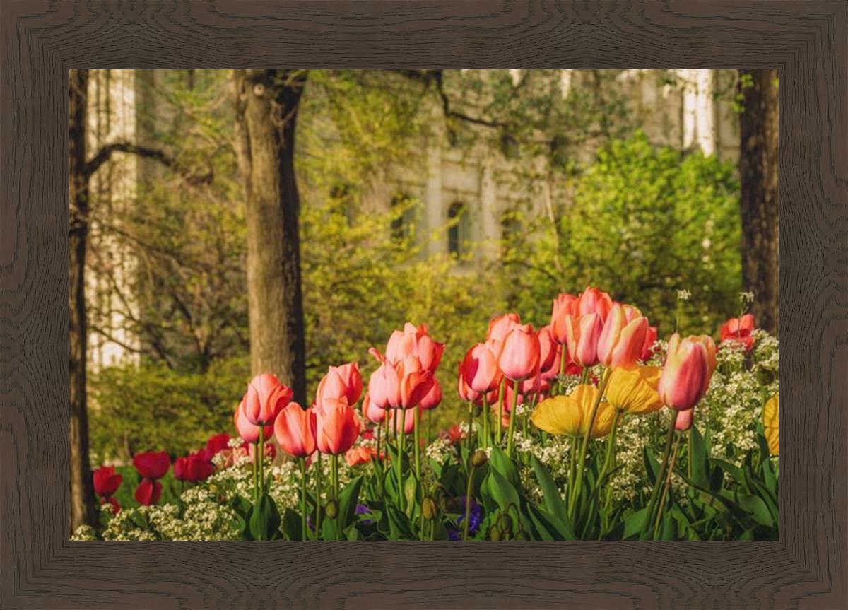 Salt Lake in the Garden