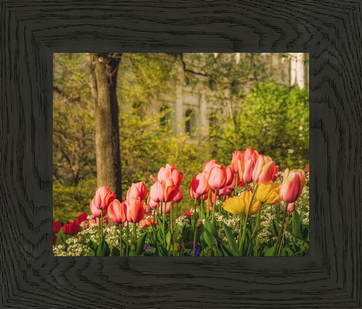 Salt Lake in the Garden