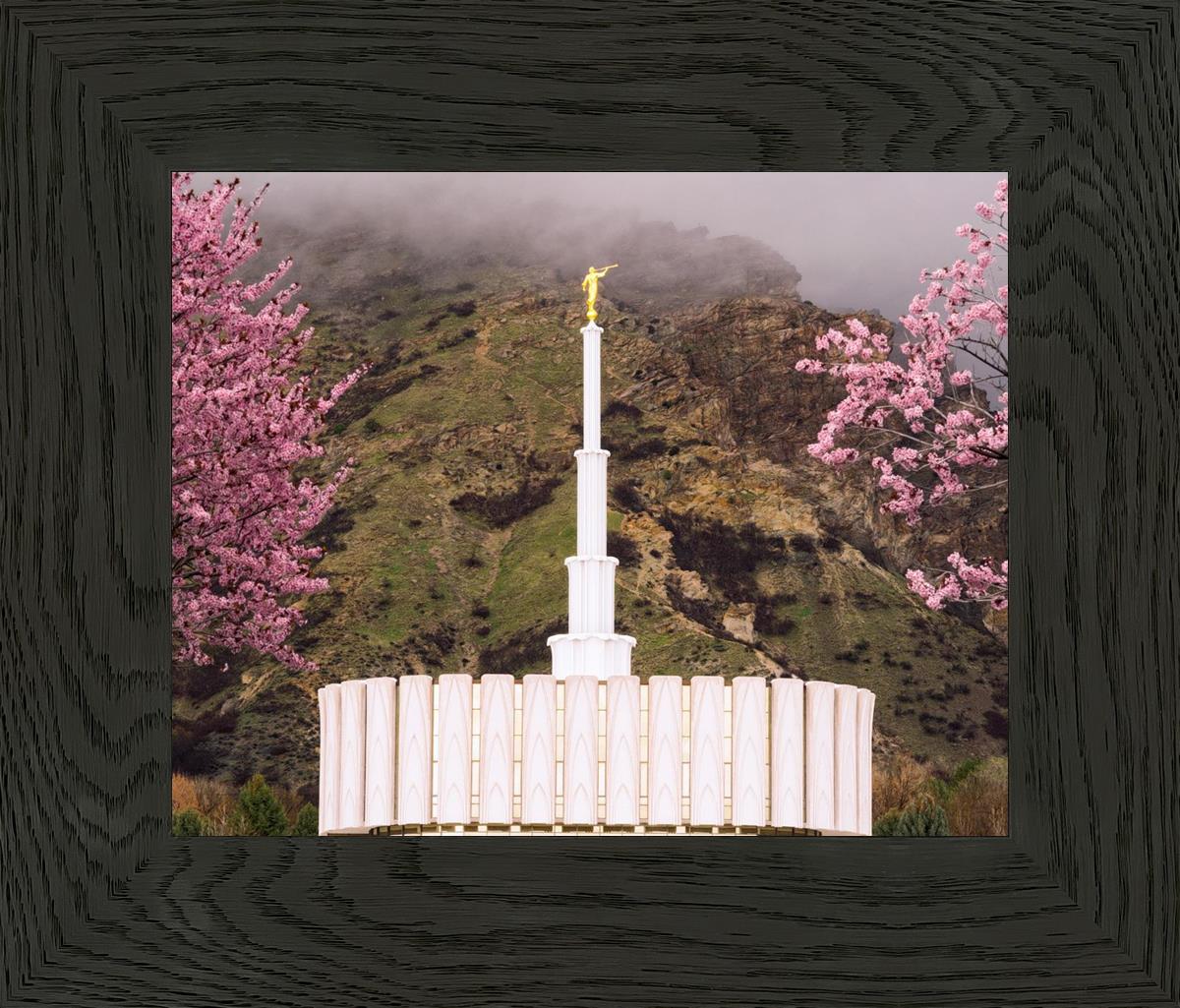 Provo Oncoming Storm