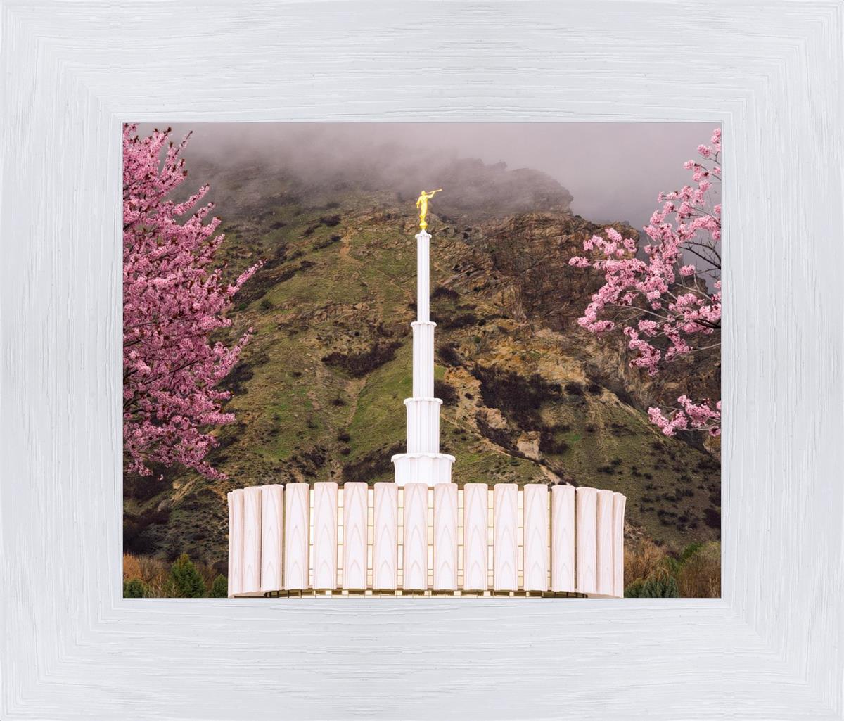 Provo Oncoming Storm