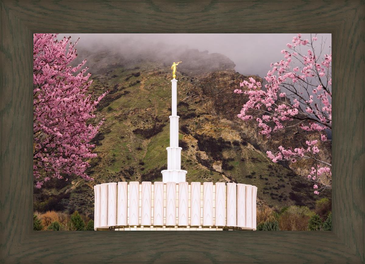 Provo Oncoming Storm