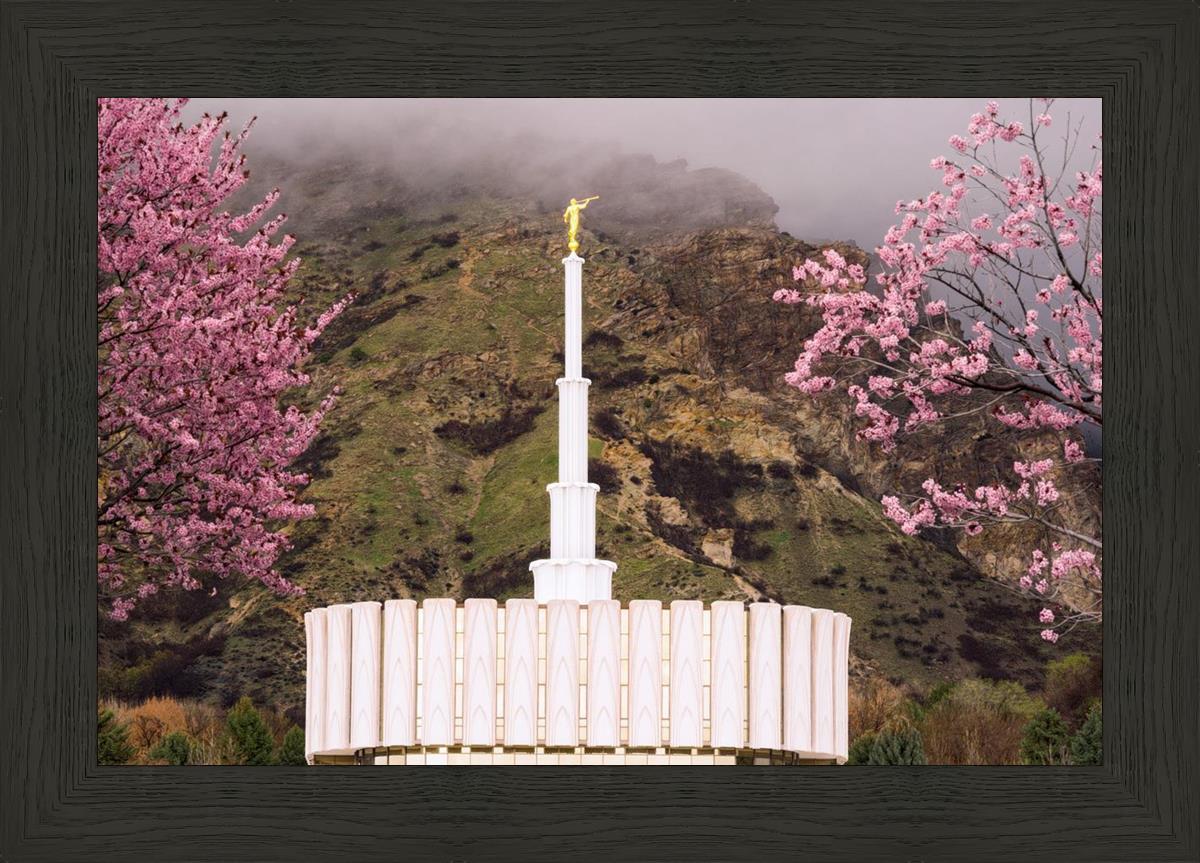 Provo Oncoming Storm