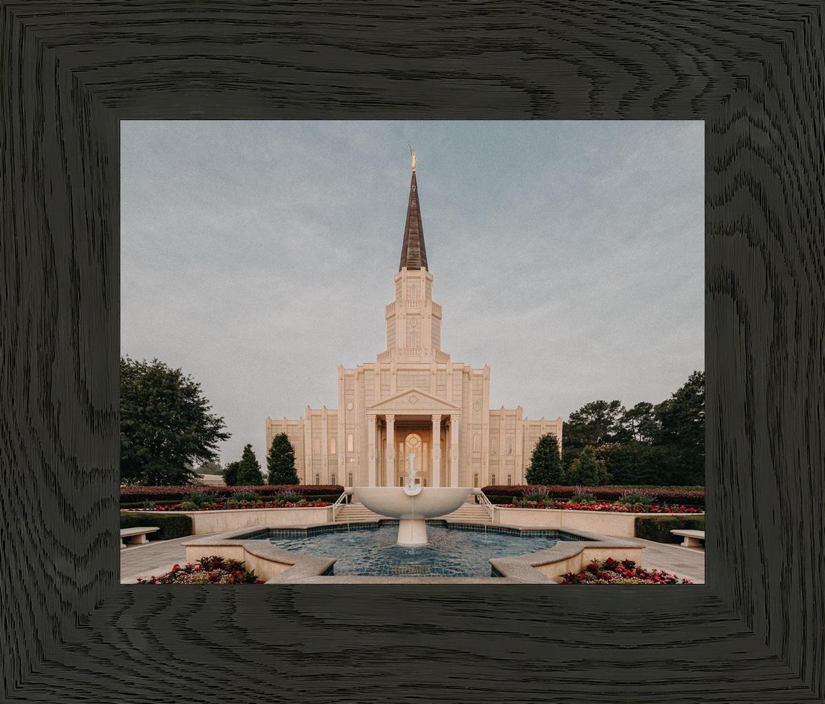 Houston A Firm Foundation