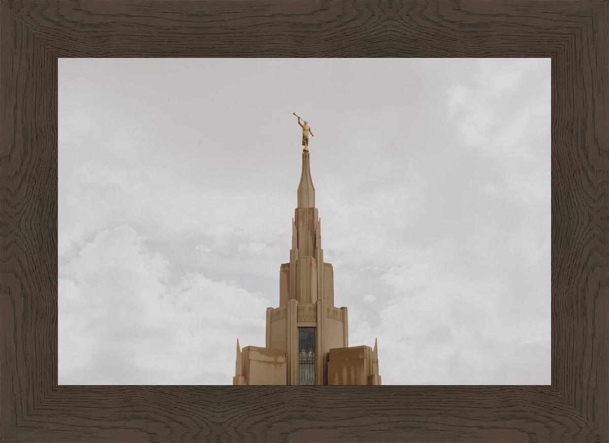 Phoenix Spire a Firm Foundation