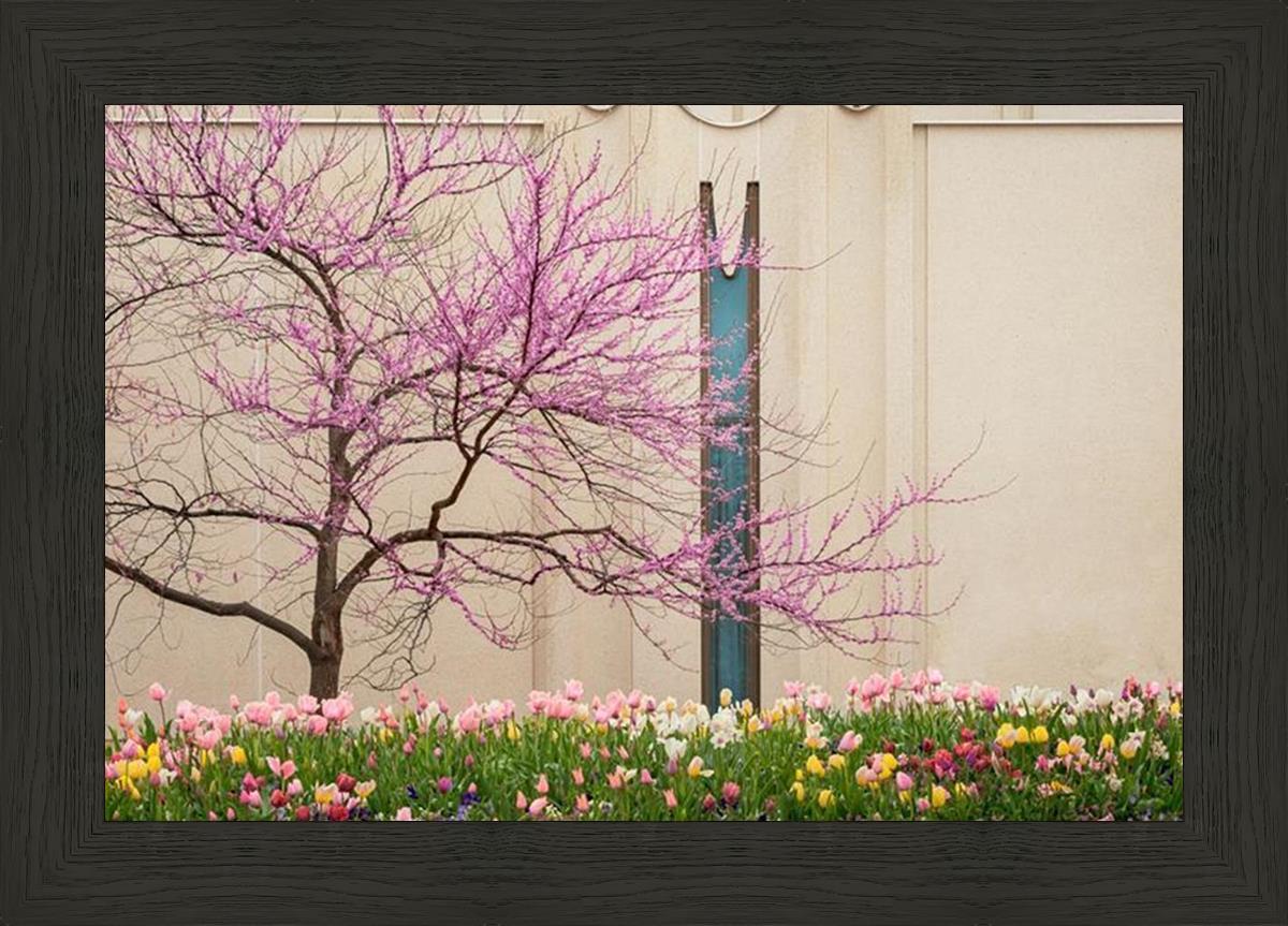 Jordan River Awakening