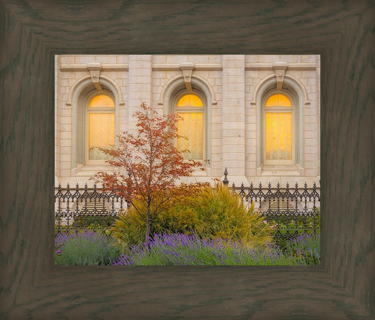 Salt Lake Autumn Detail