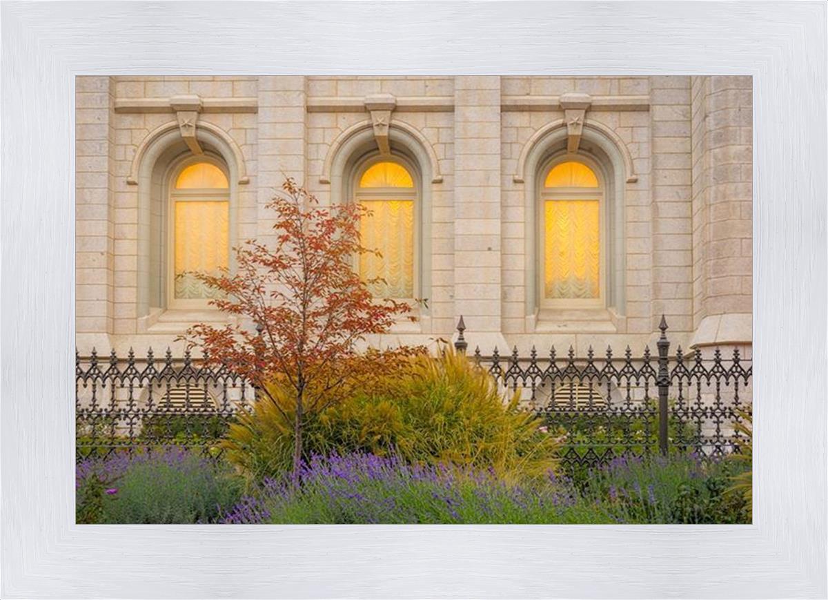 Salt Lake Autumn Detail