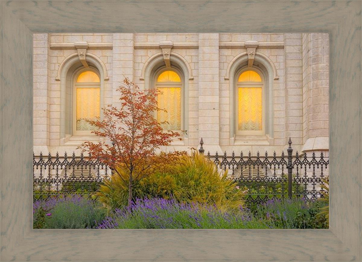 Salt Lake Autumn Detail