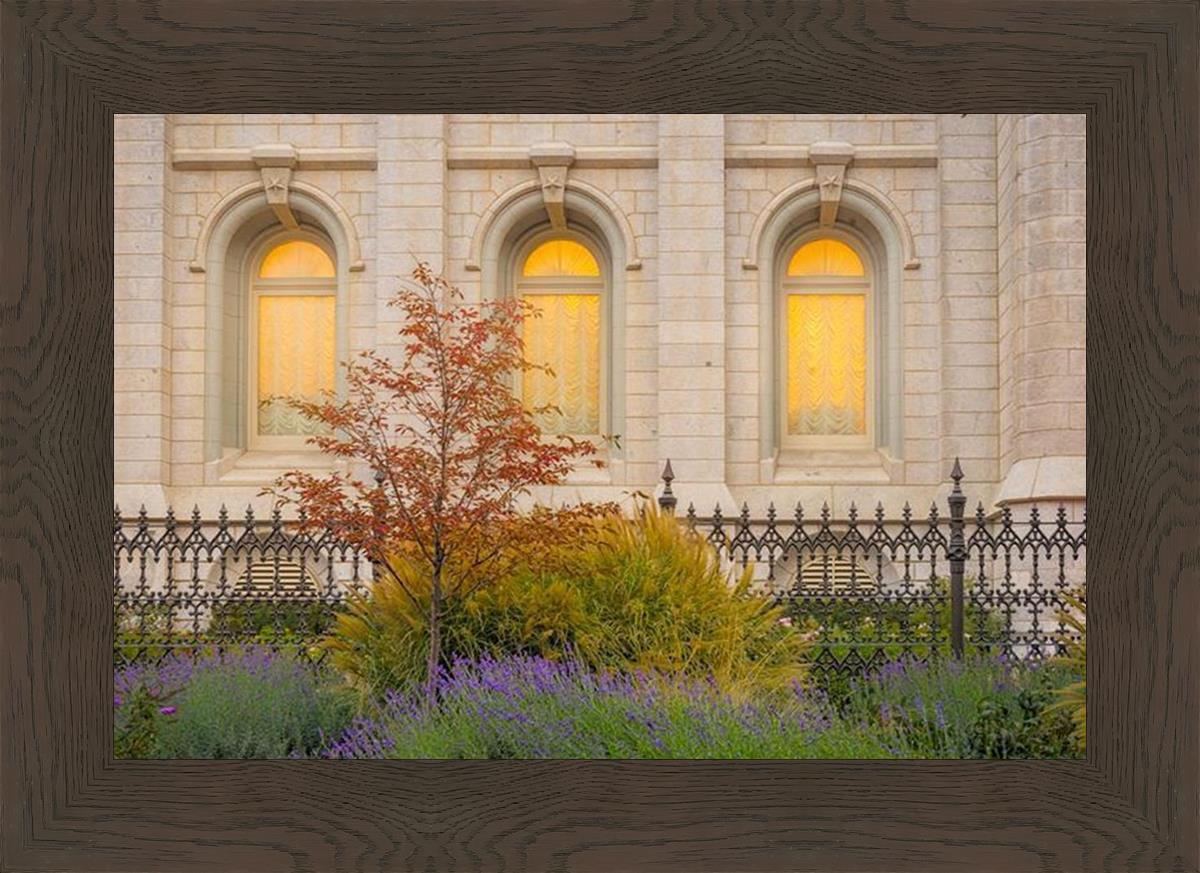 Salt Lake Autumn Detail