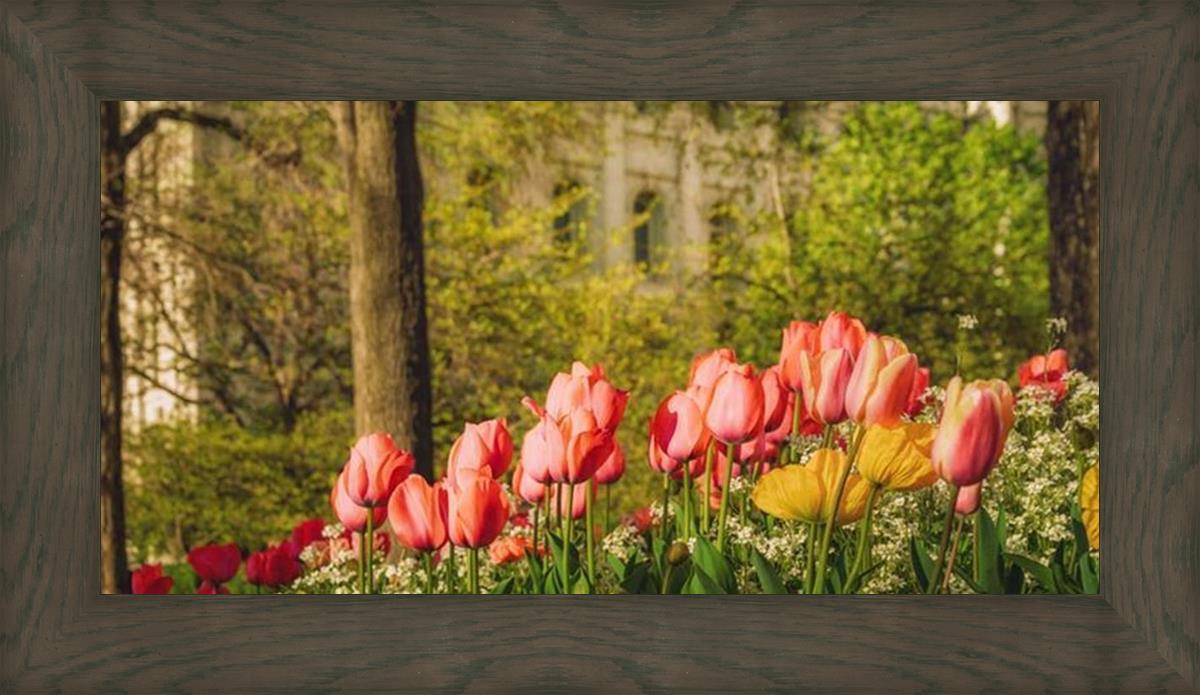 Salt Lake in the Garden