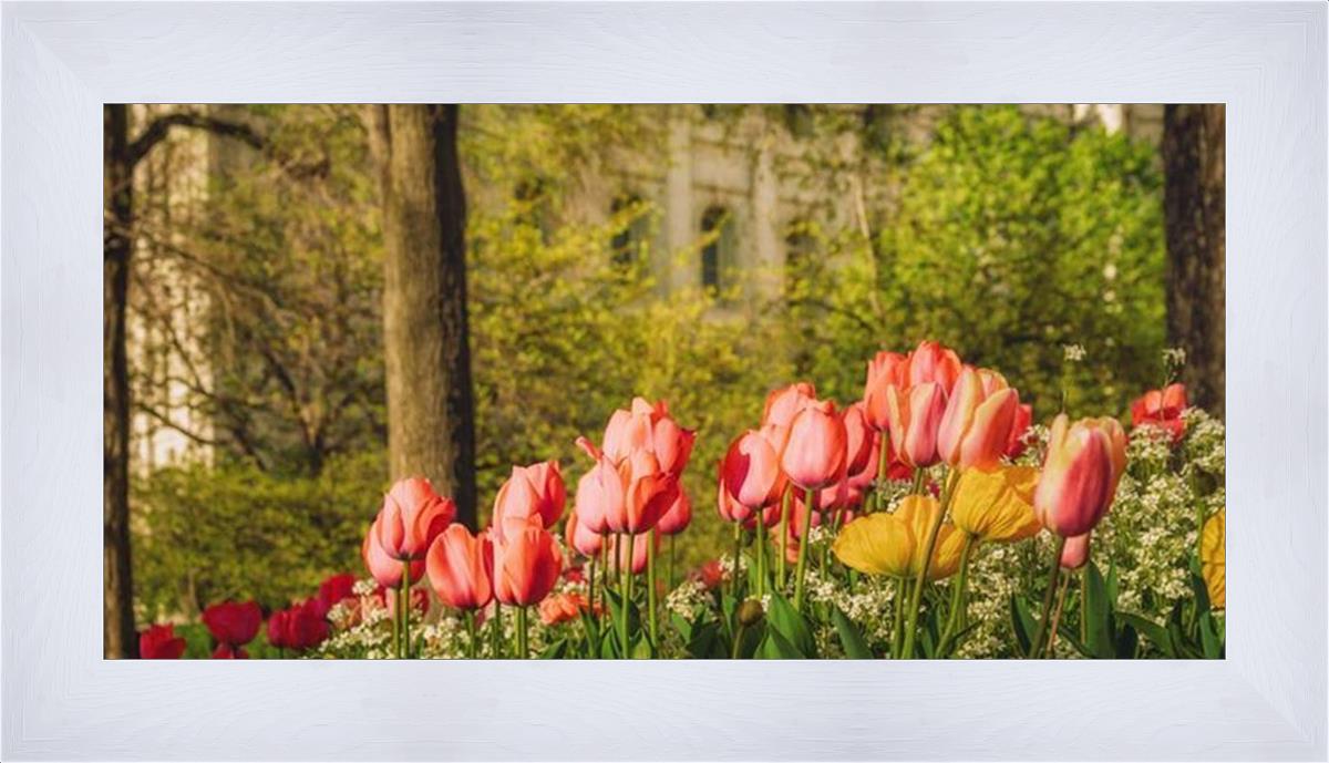 Salt Lake in the Garden