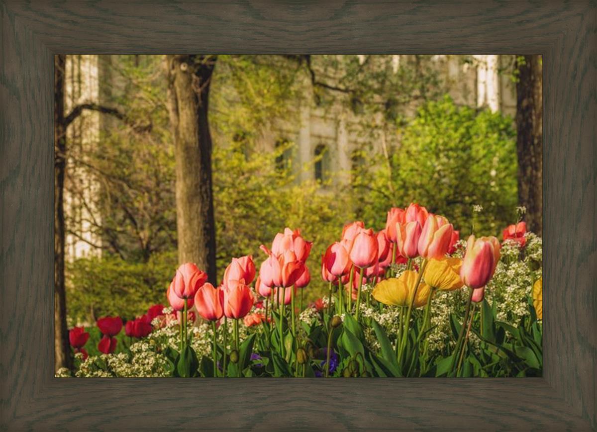 Salt Lake in the Garden