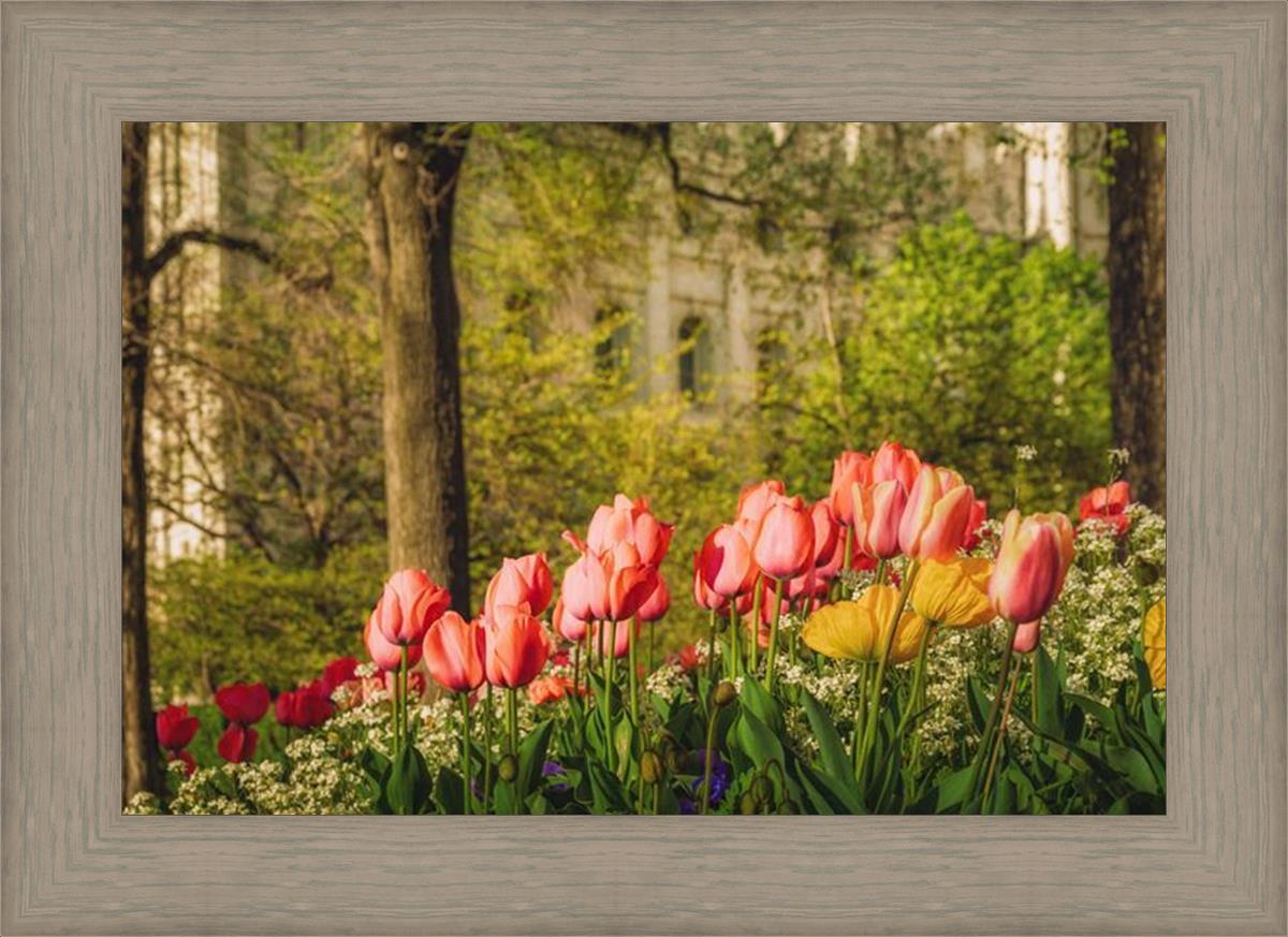 Salt Lake in the Garden