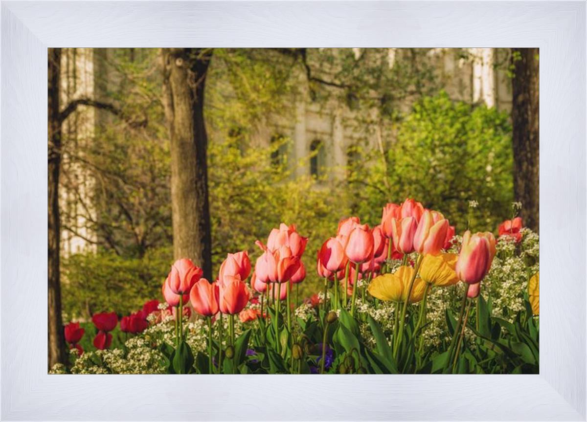 Salt Lake in the Garden