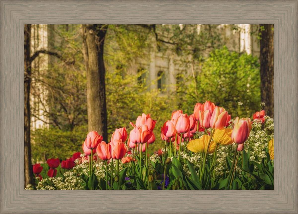 Salt Lake in the Garden