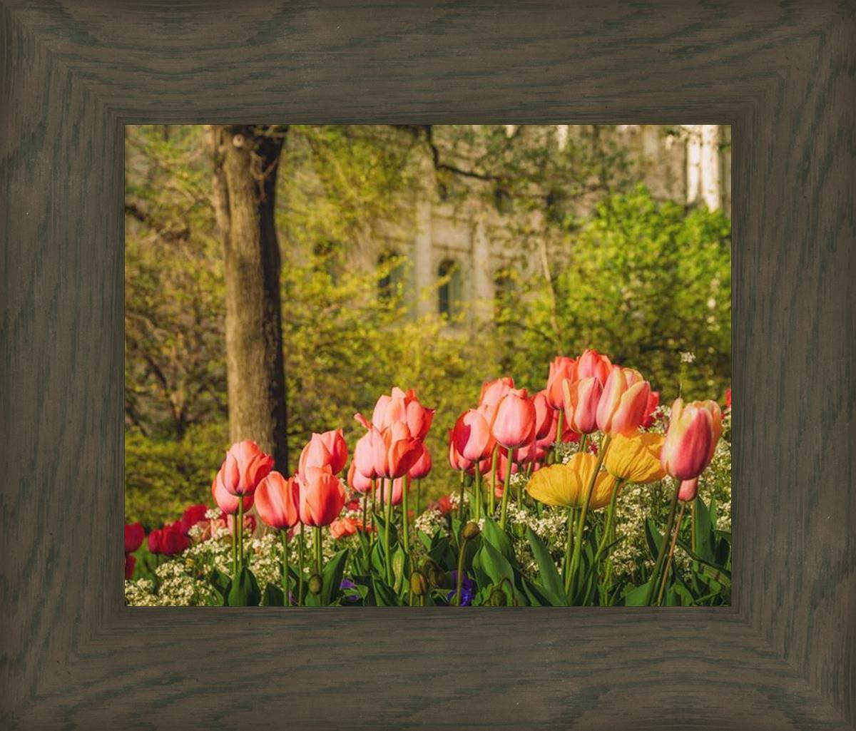 Salt Lake in the Garden