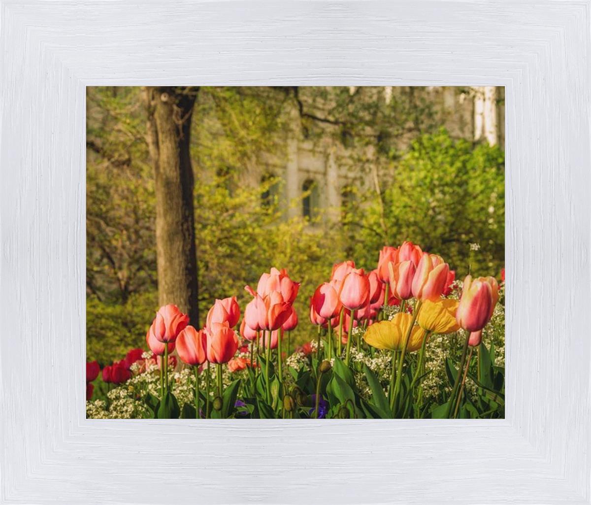 Salt Lake in the Garden