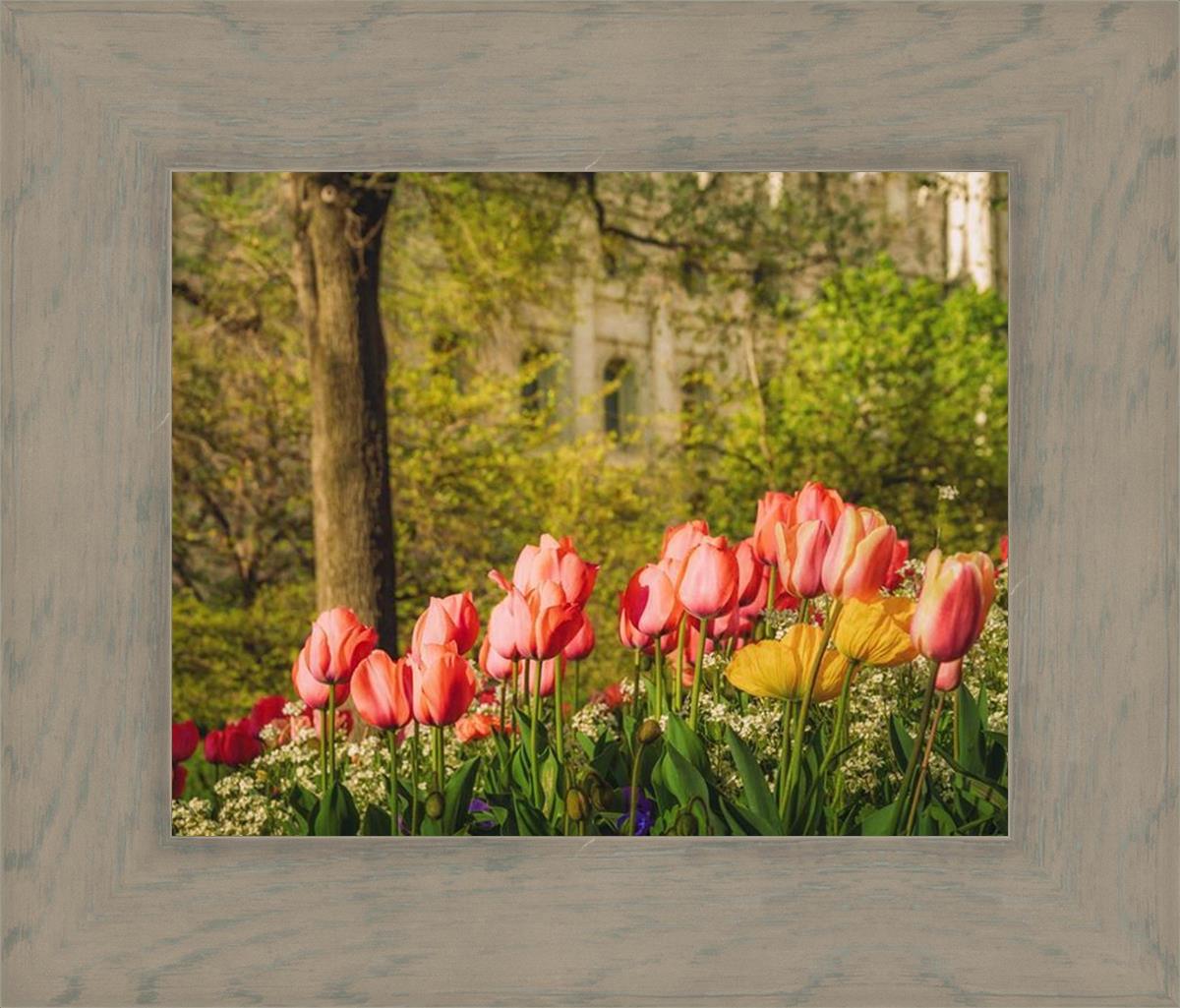 Salt Lake in the Garden