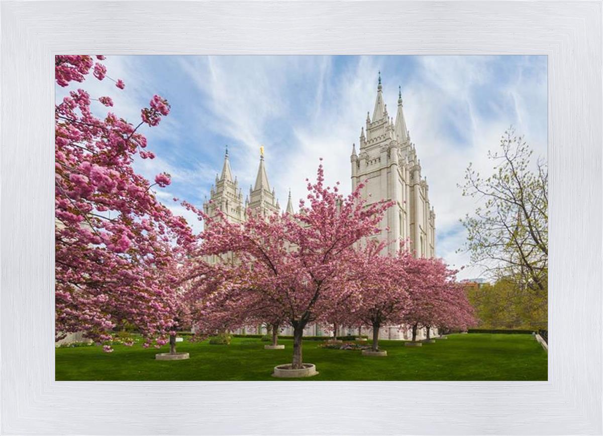 Salt Lake Spring Blossoms