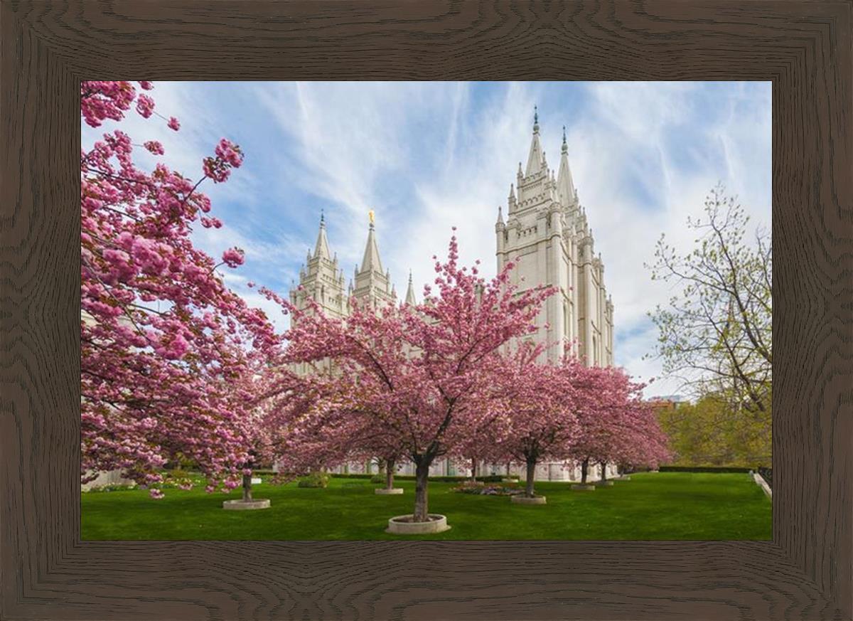 Salt Lake Spring Blossoms