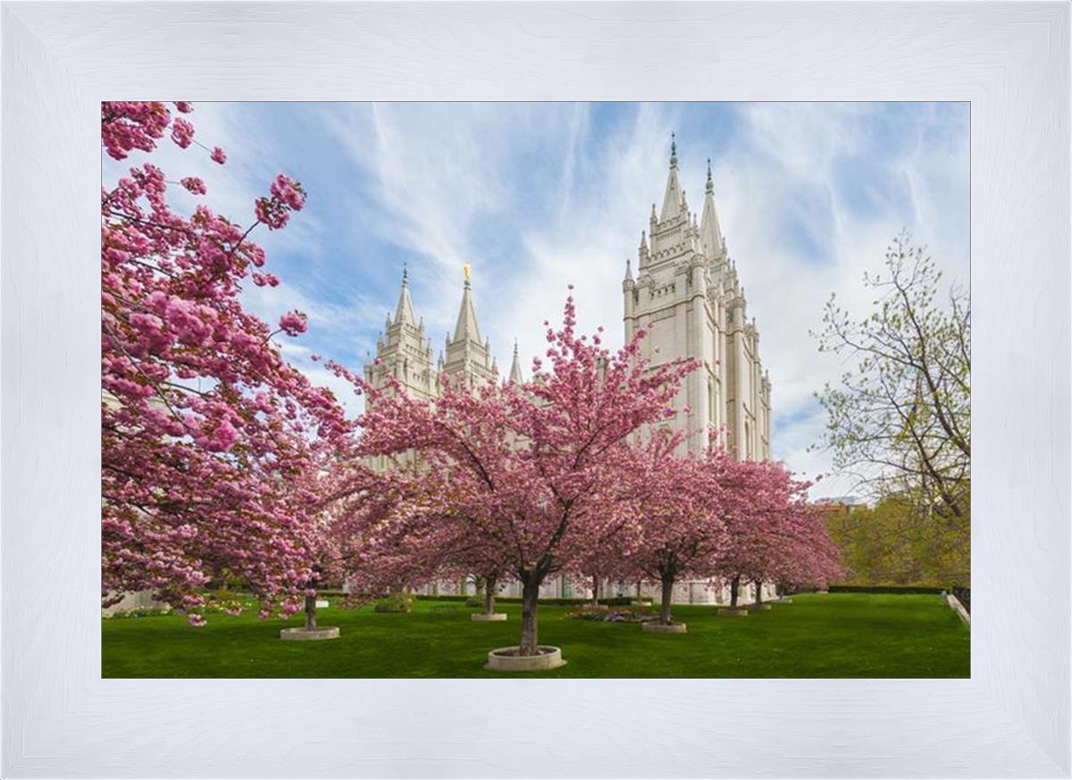 Salt Lake Spring Blossoms