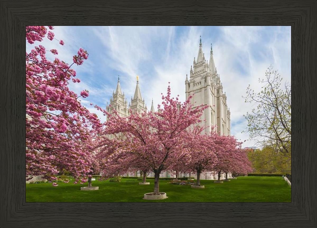 Salt Lake Spring Blossoms