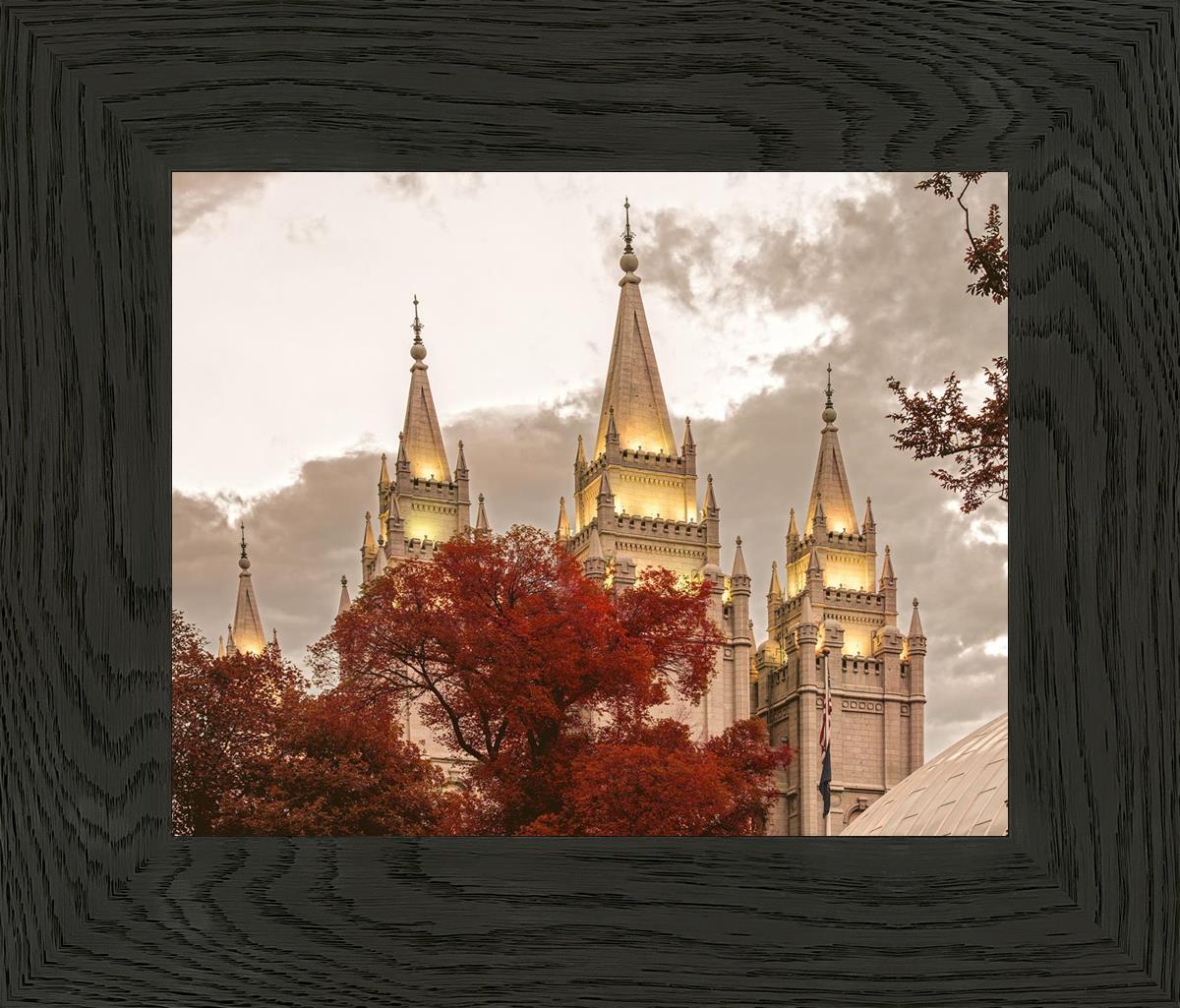 Salt Lake Temple 05