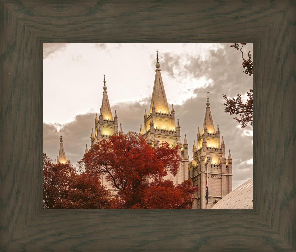 Salt Lake Temple 05