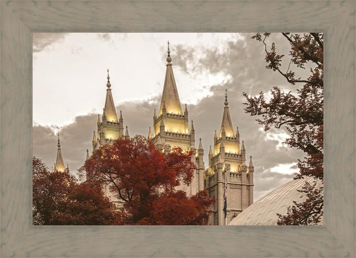 Salt Lake Temple 05