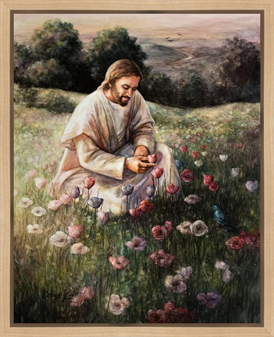 Lilies Of The Field