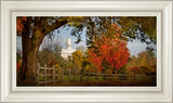 Nauvoo Farm With Red Leaves