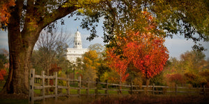 Nauvoo Farm With Red Leaves