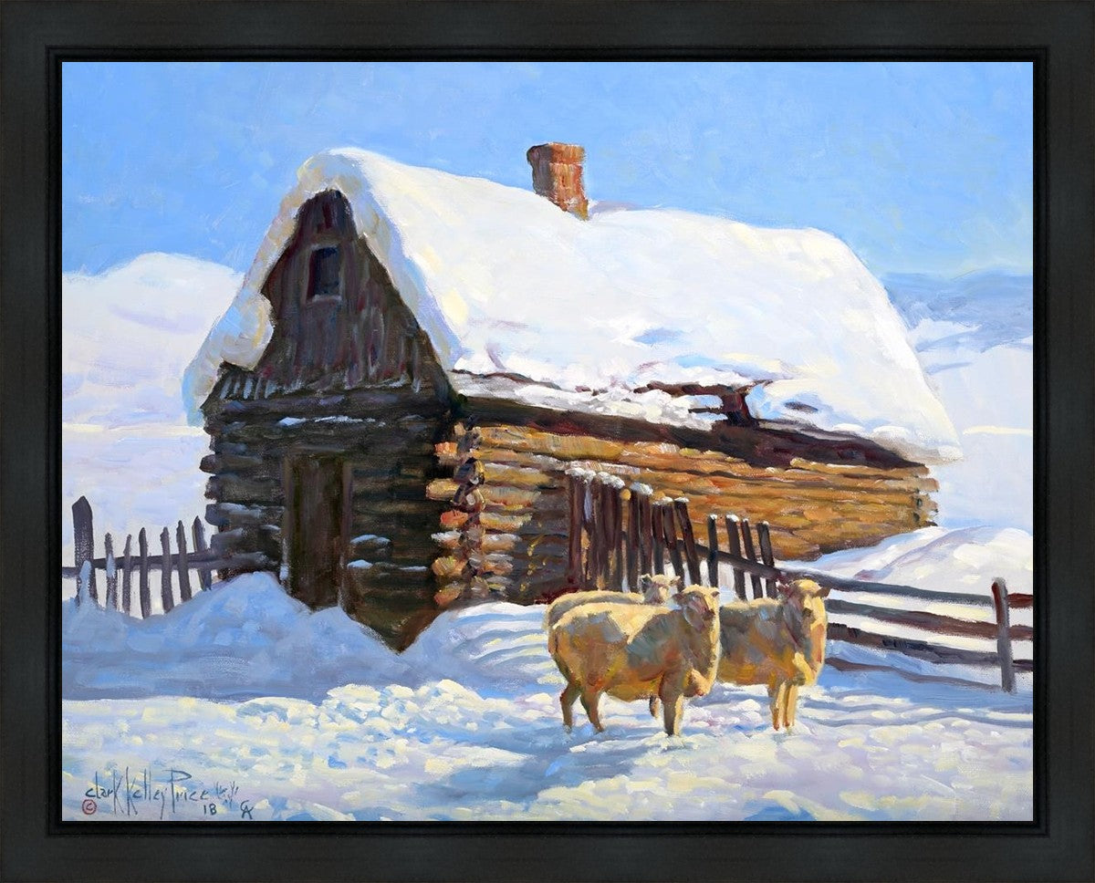 Wild Wooley Wyoming Winter