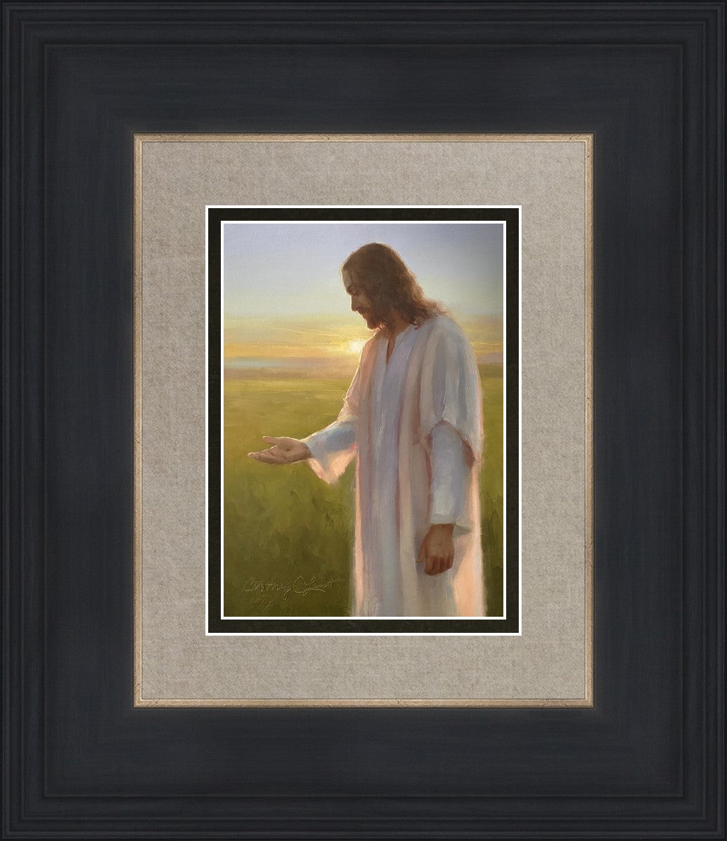 Light of The Son