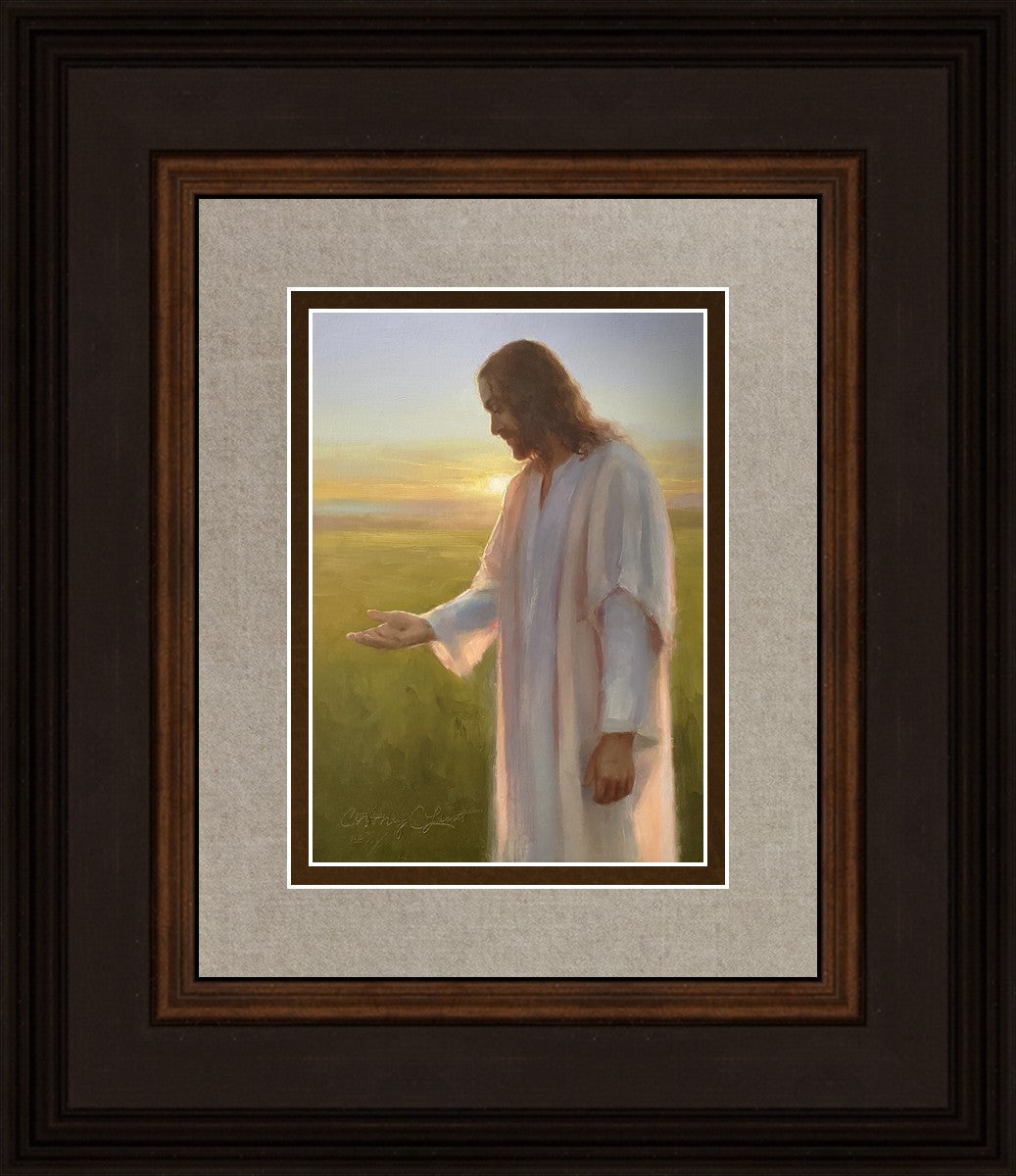 Light of The Son