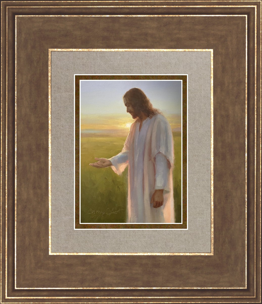 Light of The Son