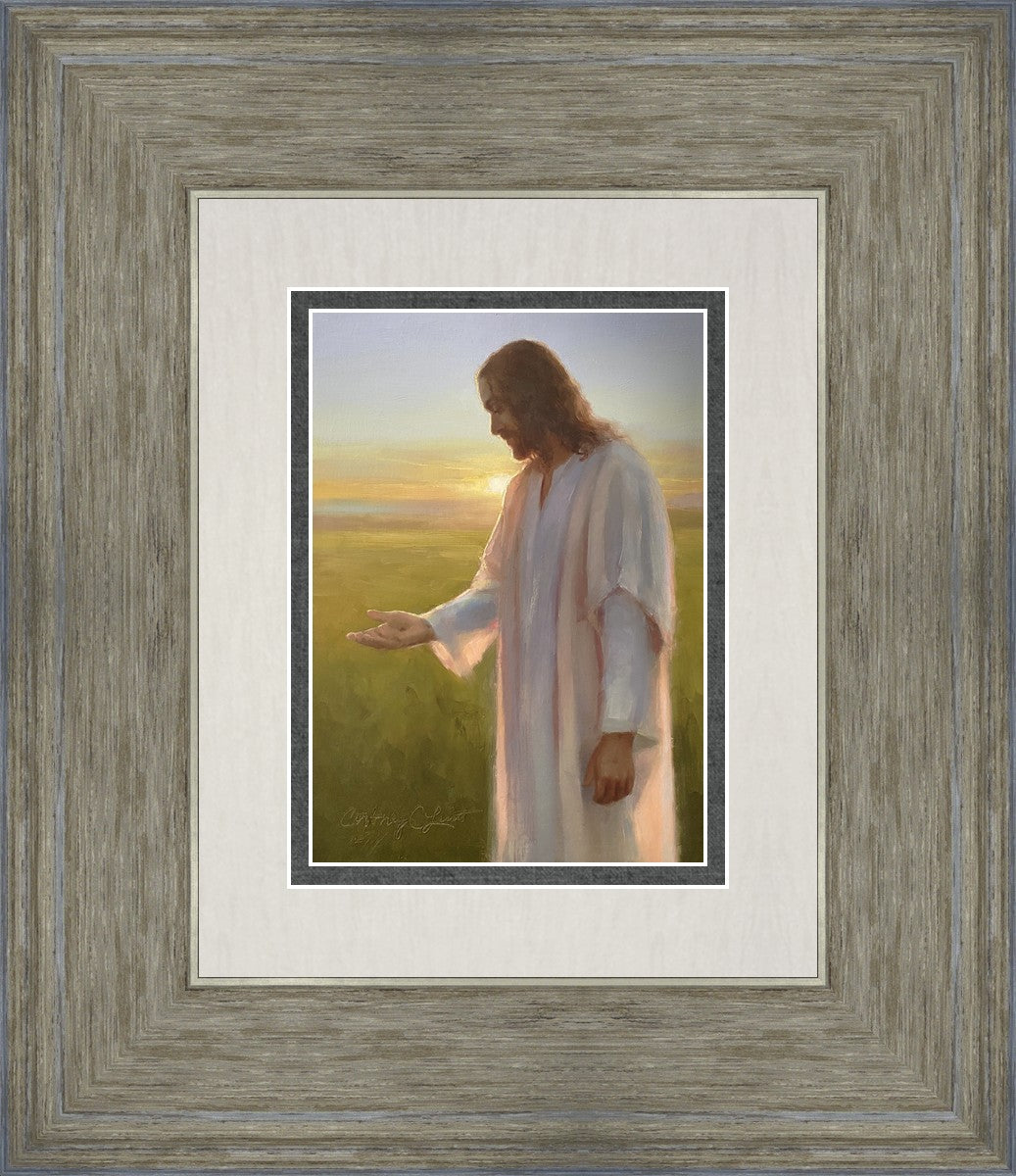 Light of The Son