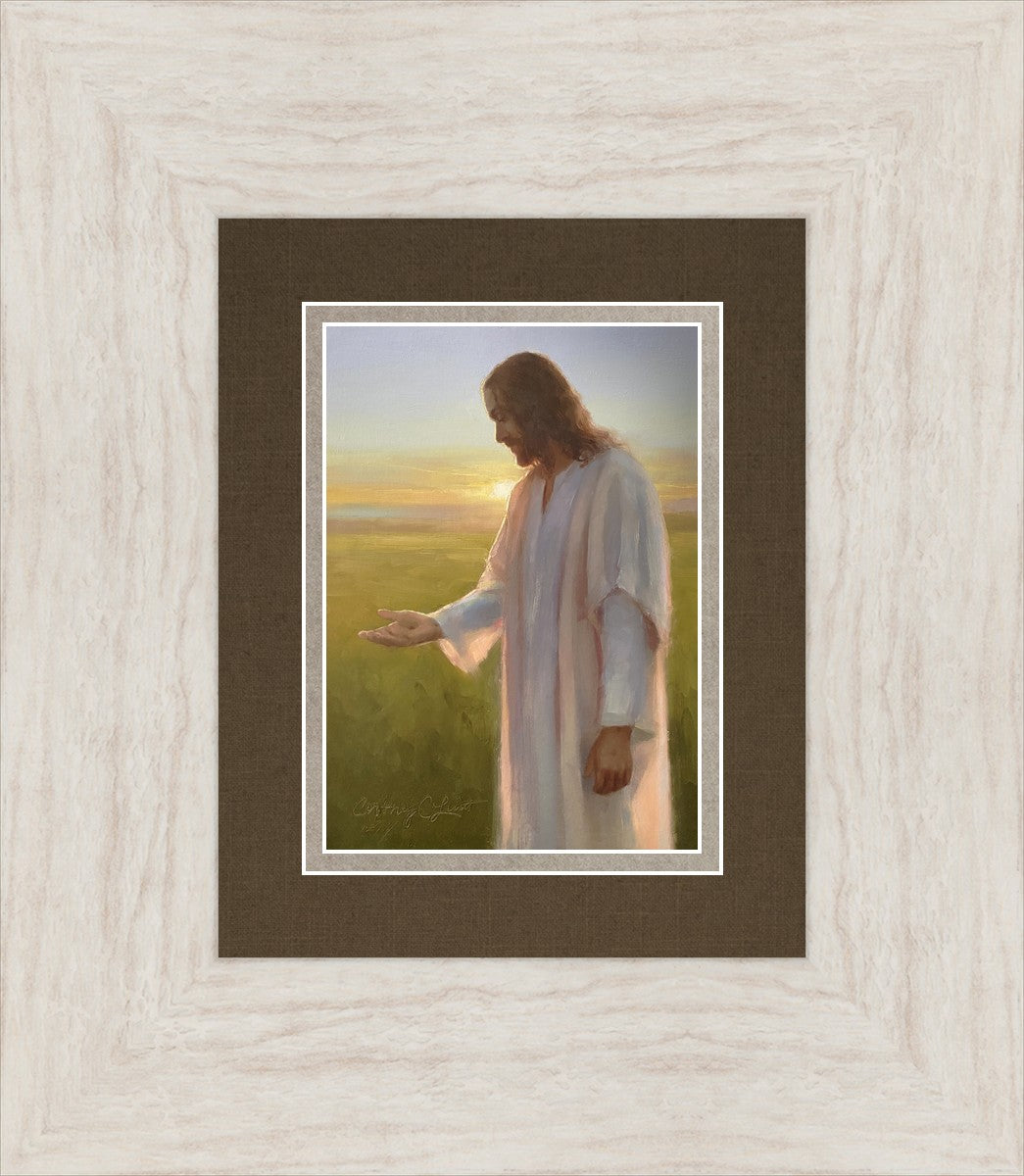 Light of The Son