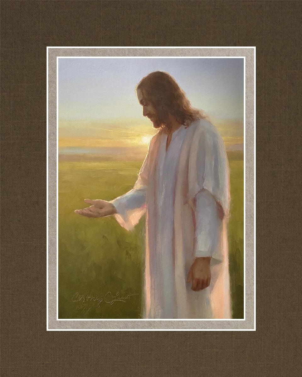 Light of The Son