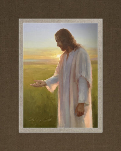 Light of The Son