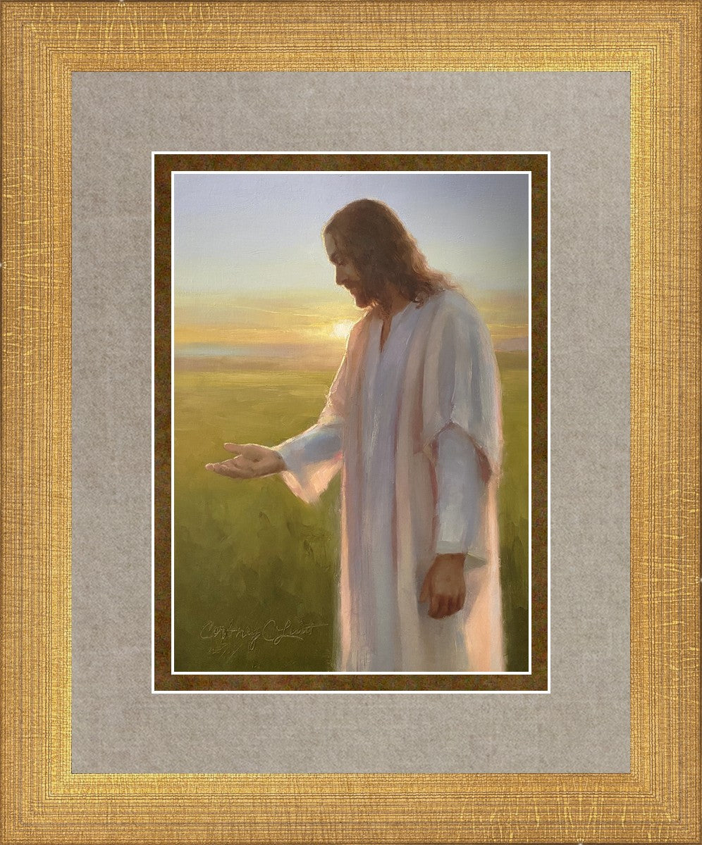 Light of The Son