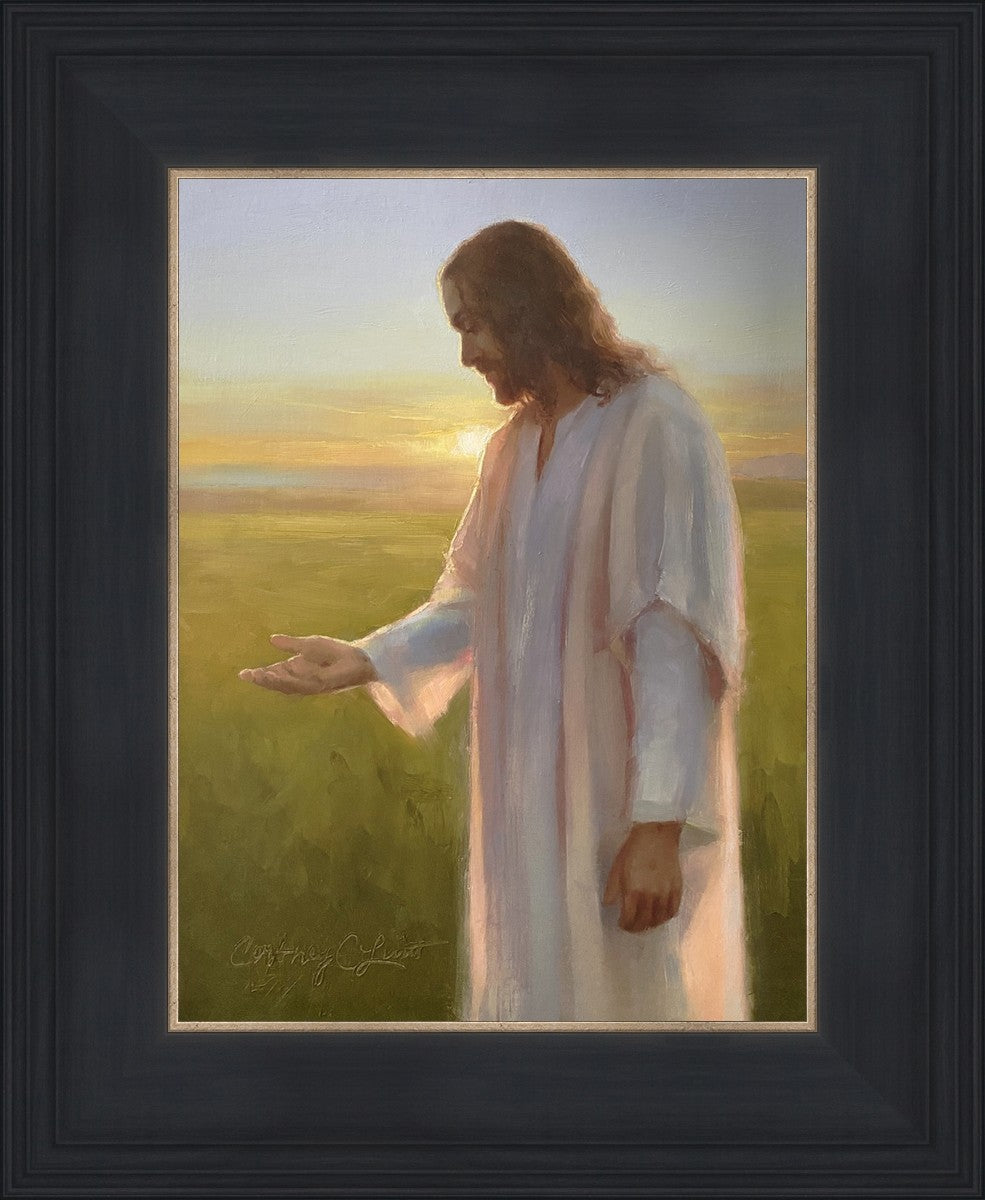 Light of The Son