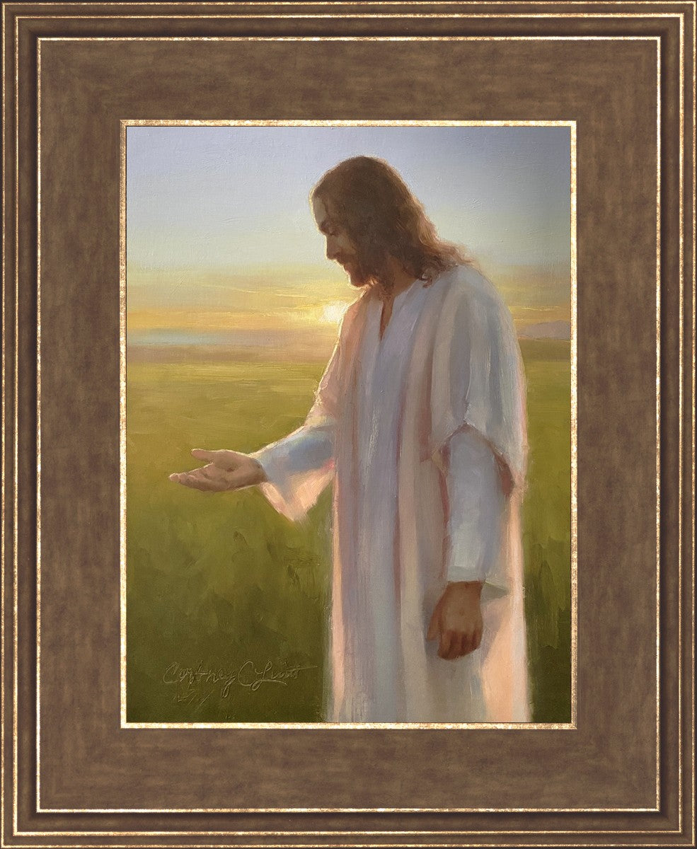 Light of The Son
