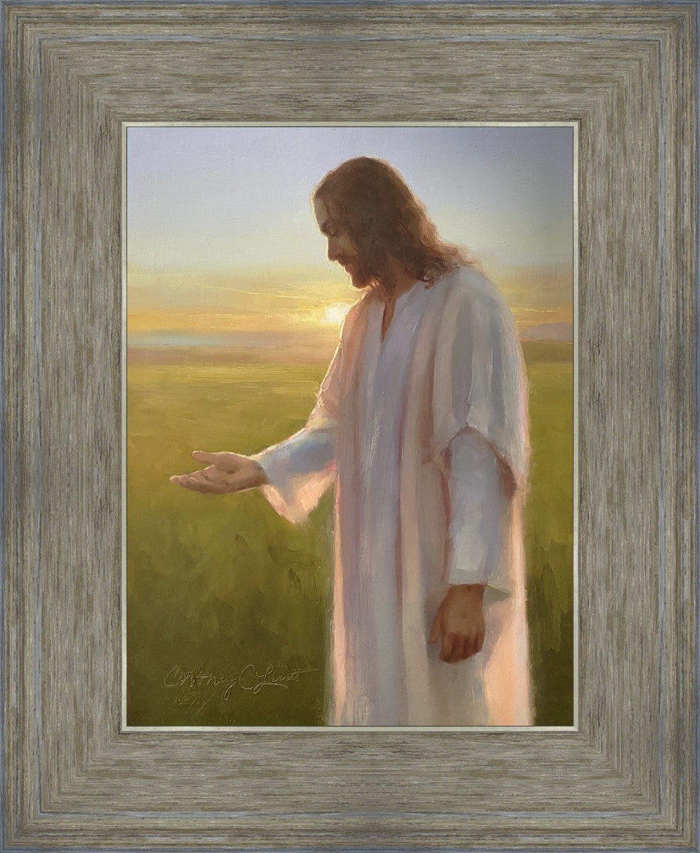 Light of The Son