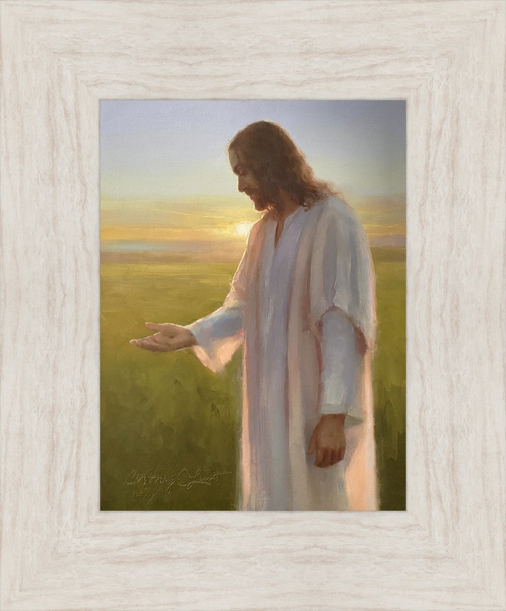 Light of The Son